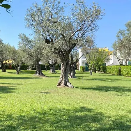 Appartement Pet Friendly Apartment
